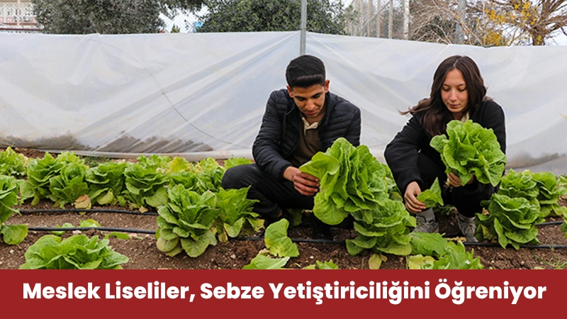 meslek-liseliler meslek liseliler