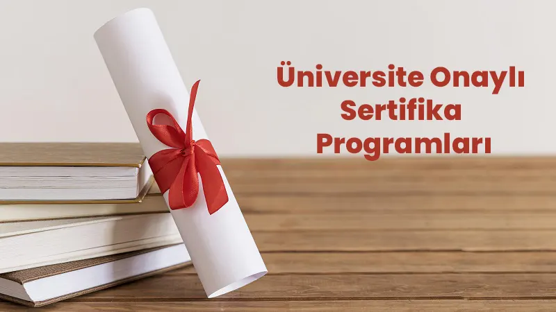 üniversite onaylı sertifika programları